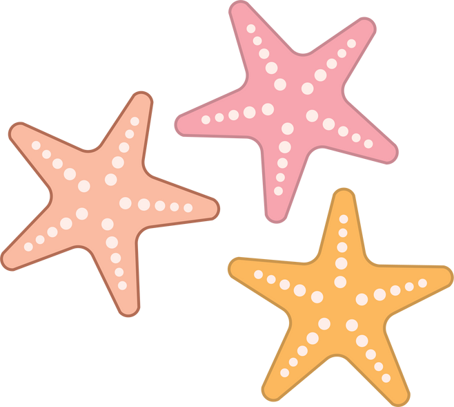 Summer Tropical Beach Element